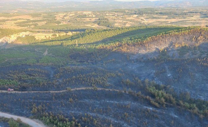 Soma'daki 16 saatlik orman yangınında 60 hektar alan zarar gördü -1