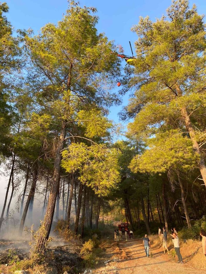 Muğla'da maytap ile ormanı yaktılar