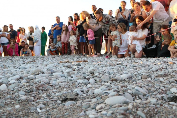 Turistler deniz kaplumbağalarının yuvadan çıkışını izledi -3