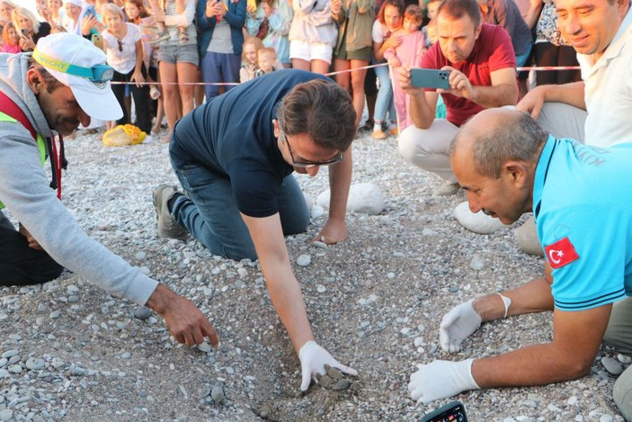 Turistler deniz kaplumbağalarının yuvadan çıkışını izledi -2