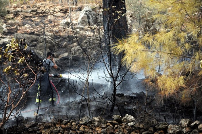 Antalya’da 5 hektar orman yandı -6