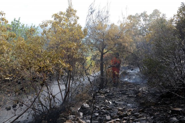 Antalya’da 5 hektar orman yandı -1