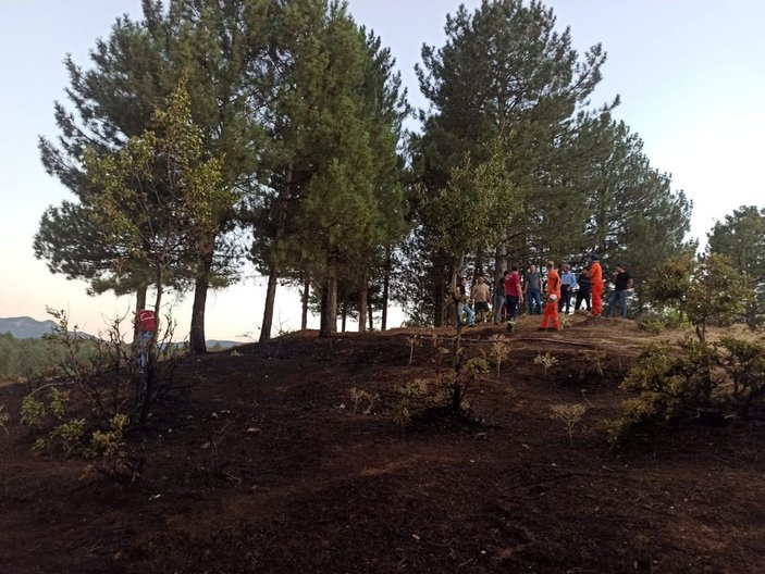 Bingöl'de orman yangını büyümeden kontrol altına alındı -1