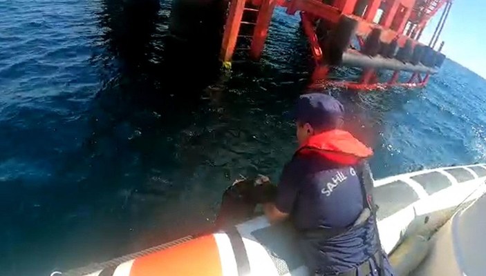 Denizde kaybolan köpeği Sahil Güvenlik kurtardı -1