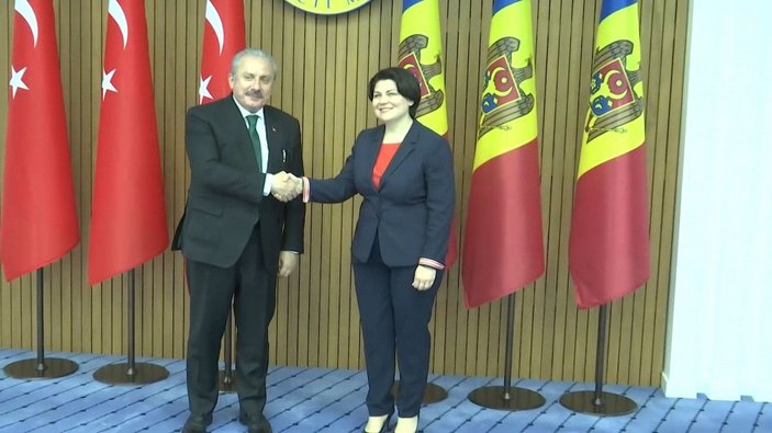 Şentop, Moldova Başbakanıyla görüştü -1