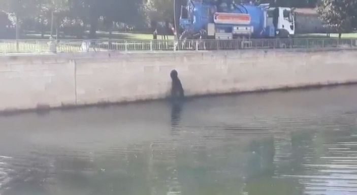 İBB aracı Kağıthane Deresi'ne atık su boşaltırken yakalandı