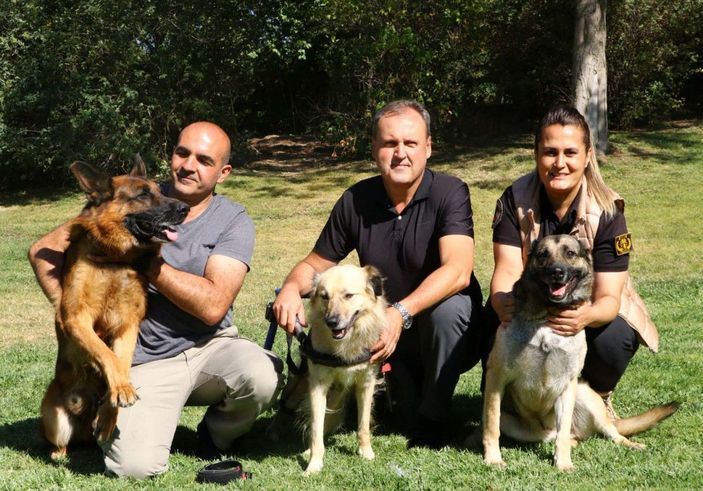 TBMM'nin 'kahraman' köpekleri -3