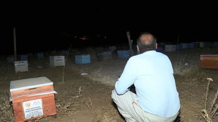 Arı kovanlarına zarar veren ayılara karşı silahlı nöbet -3