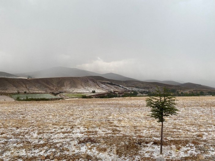 Niğde’de dolu yağışı elma bahçelerine zarar verdi -4