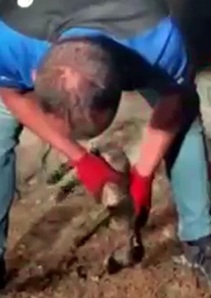 AFAD görevlisi, kalbi duran köpeği kalp masajıyla hayata döndürdü -1