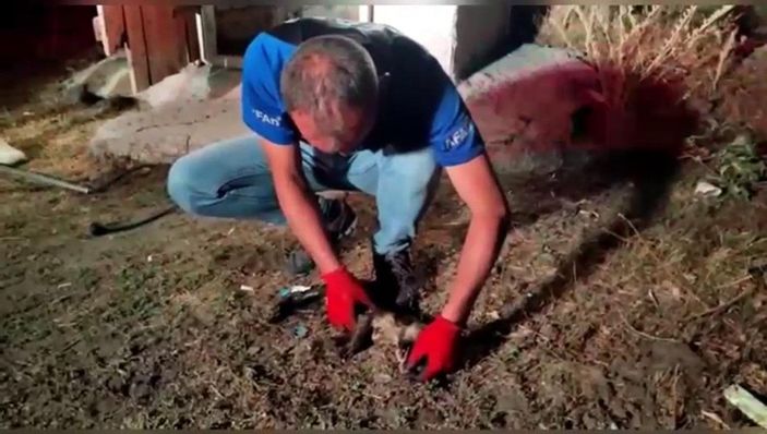 AFAD görevlisi, kalbi duran köpeği kalp masajıyla hayata döndürdü -4