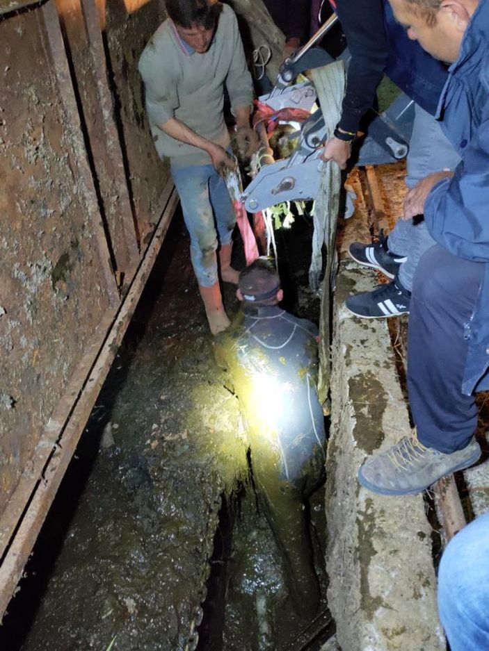 d AFAD görevlisi, kalbi duran köpeği kalp masajıyla hayata döndürdü -8