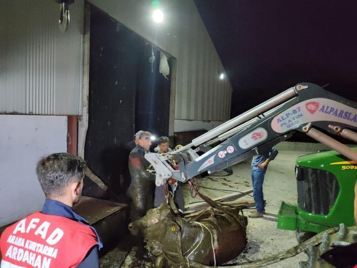 AFAD görevlisi, kalbi duran köpeği kalp masajıyla hayata döndürdü -7