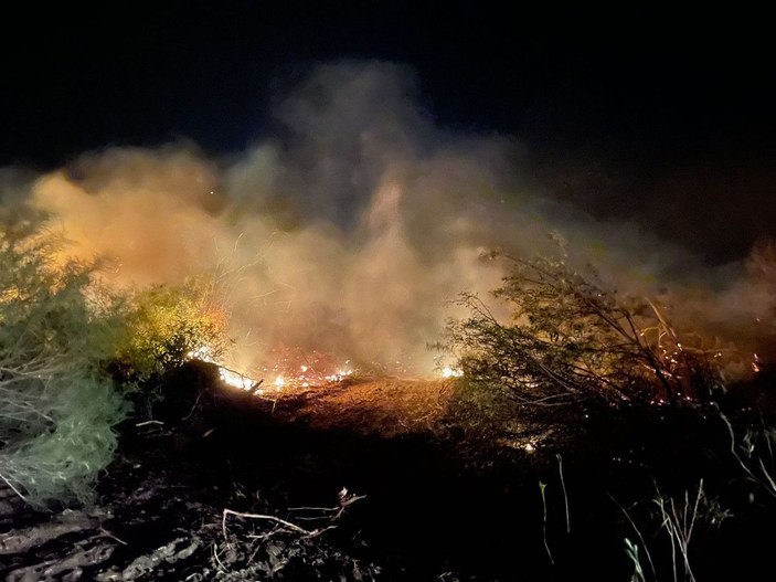 Antalya'daki orman yangınında 15 hektar zarar gördü -2