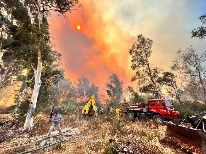 Antalya'daki orman yangınında 15 hektar zarar gördü -1
