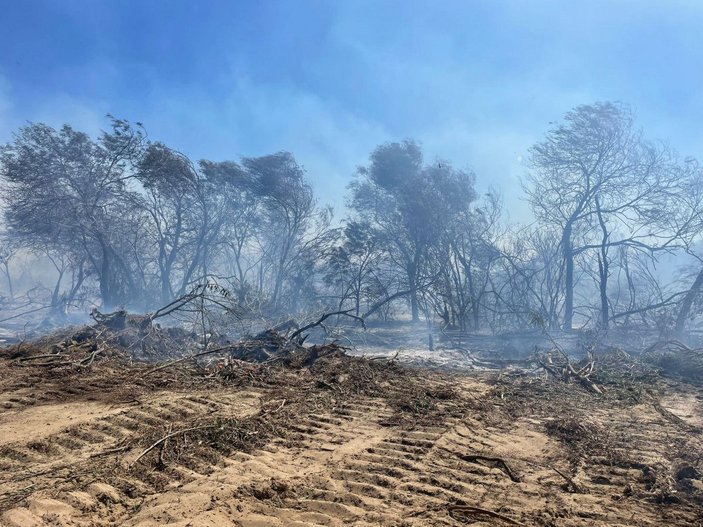 Antalya'daki orman yangınında 15 hektar zarar gördü -3