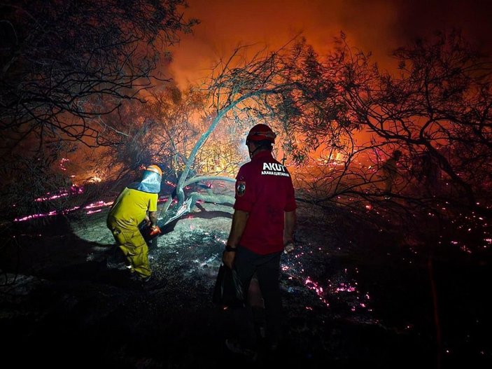 Antalya'daki orman yangınında 15 hektar zarar gördü -4