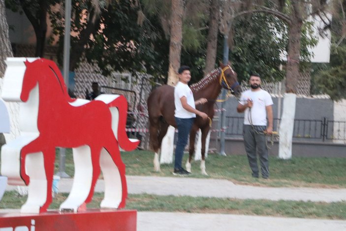Bakan Soylu’ya ‘Suruç’ isimli yarış atı hediye edildi -10