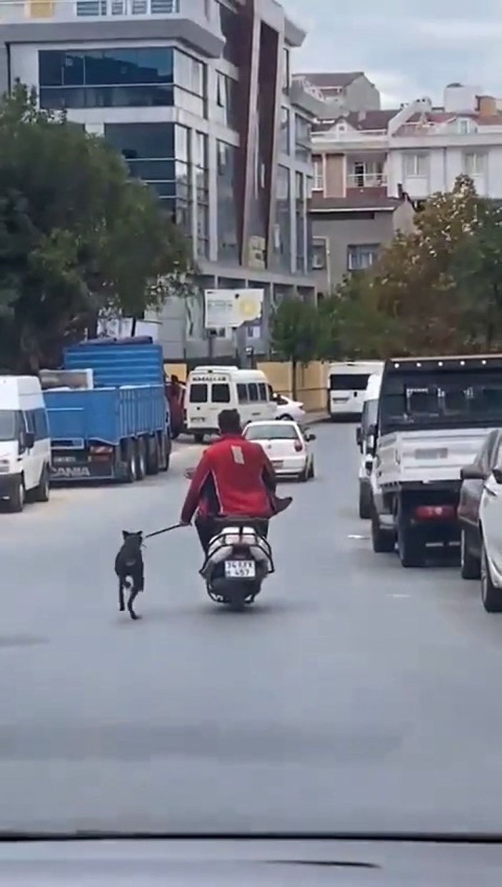 Köpeği motosikletle dakikalarca koşturdu -1
