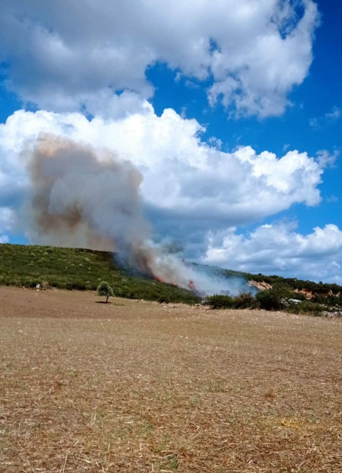 Çanakkale'de orman yangını (1) -2