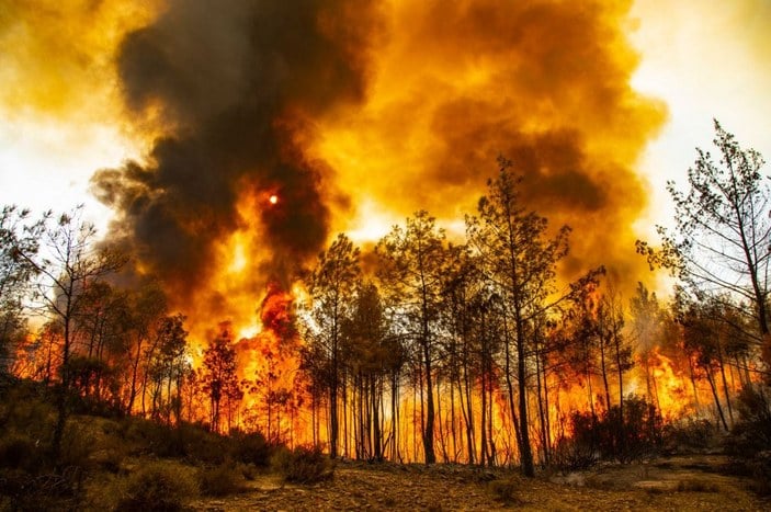 En büyük yangında yeşile dönüş yüzde 80 tamamlandı -4