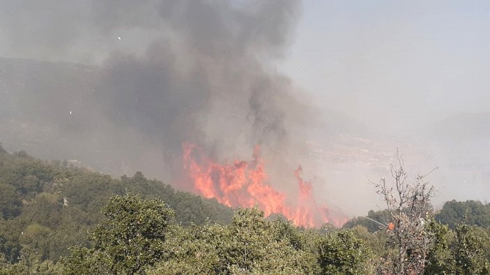 Antalya'da makilik yangını -2