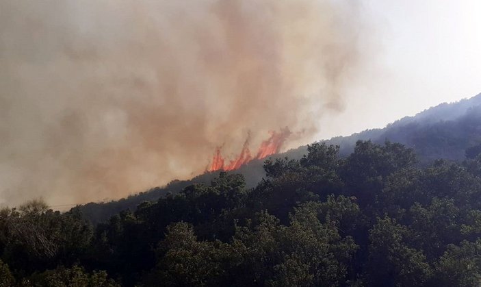 Antalya'da makilik yangını -3