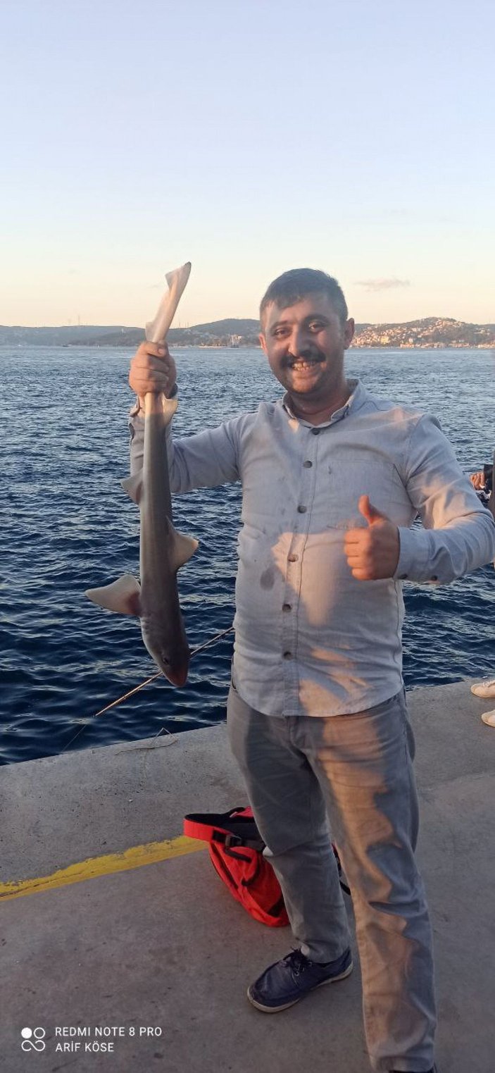 Beykoz'da oltasına yavru köpek balığı takıldı -1