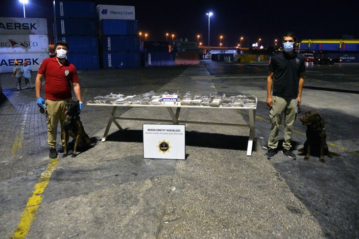 Mersin Limanı'nda, konteyner gemisinde 48 kilo kokain ele geçirildi -1