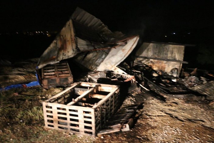 Adana'da kundaklanan barakadaki 90 güvercin yanarak öldü