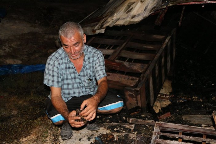 Adana'da kundaklanan barakadaki 90 güvercin yanarak öldü