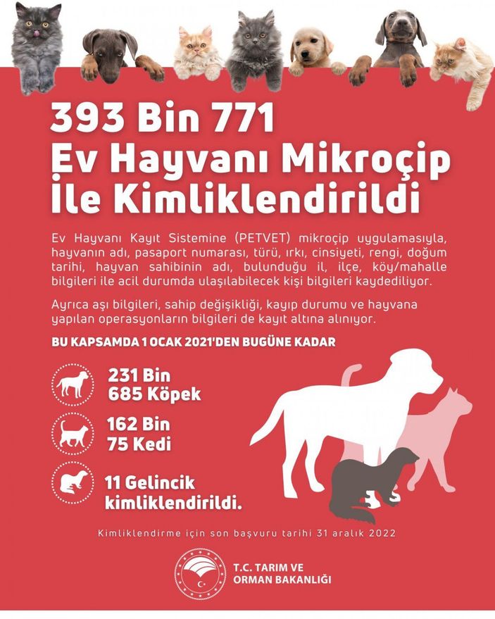 Tarım ve Orman Bakanlığı: Evcil hayvanları kayıt altına almak için son tarih 31 Aralık -1