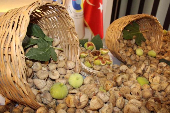 Aydın incirinin ihracat yolculuğu başladı -1