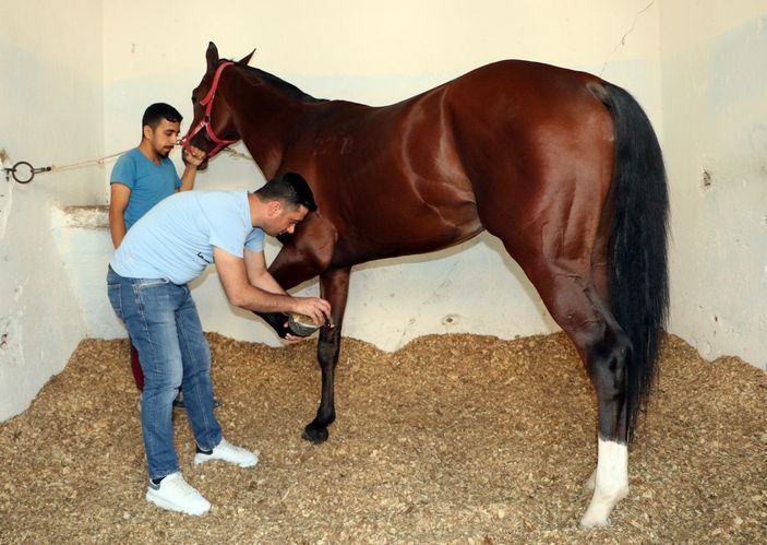 Adana'da 41 gün komada kalan jokey Samet, 18 ay sonra ata bindi