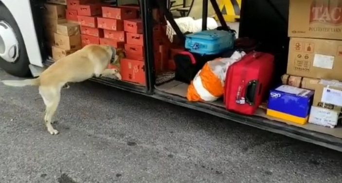 d Kayseri'de uyuşturucu operasyonu: 5 gözaltı -2