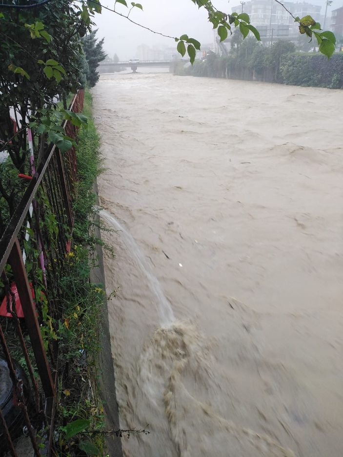 Artvin'de sağanak; ev ve iş yerlerini su bastı -1