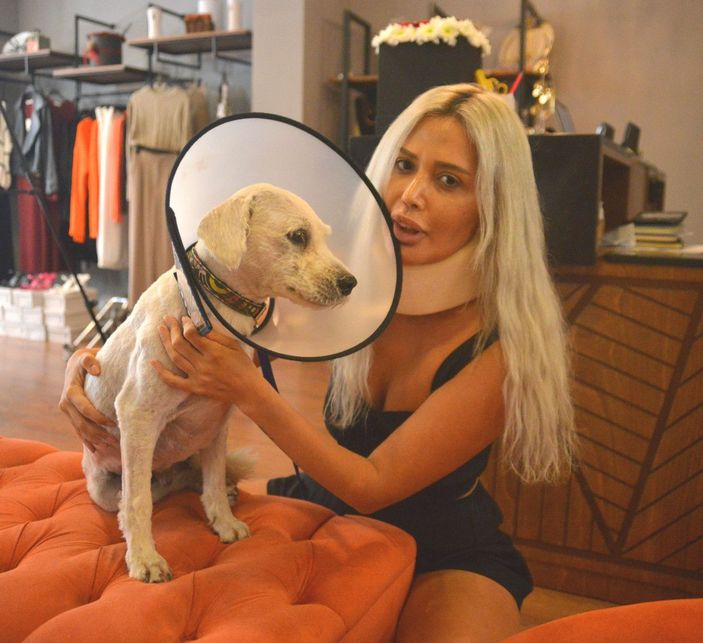 Köpek havlamasından rahatsız olduğu gerekçesiyle hayvansever kadını darbetti -2