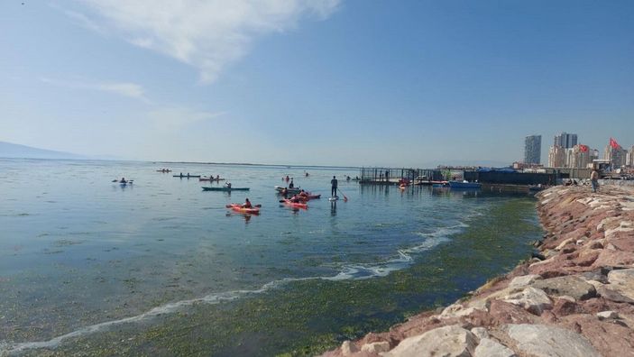 İzmir sahillerini deniz marulu kapladı; su yeşile büründü -8