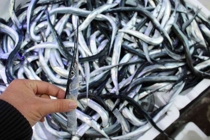 Fosforuyla ünlü zargana balığı kilosu 60 liradan satılıyor -1