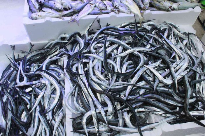 Fosforuyla ünlü zargana balığı kilosu 60 liradan satılıyor -3