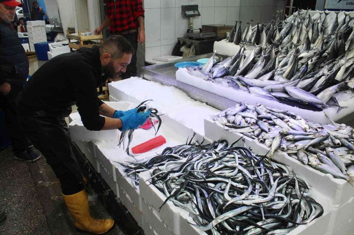 Fosforuyla ünlü zargana balığı kilosu 60 liradan satılıyor -2