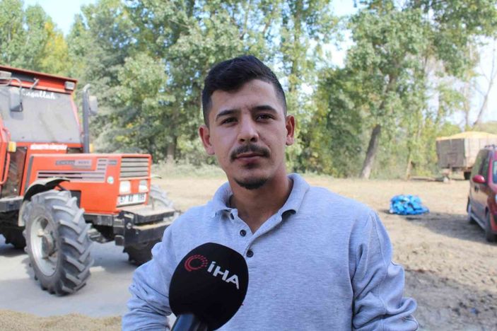 Sinop’ta çeltik kurutma işlemleri sürüyor -5