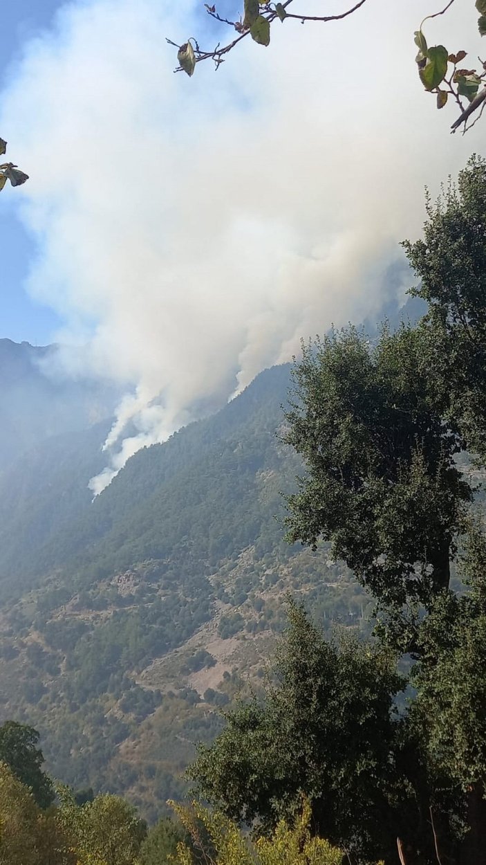Osmaniye'deki orman yangını, 4'üncü günde kontrol altında -2