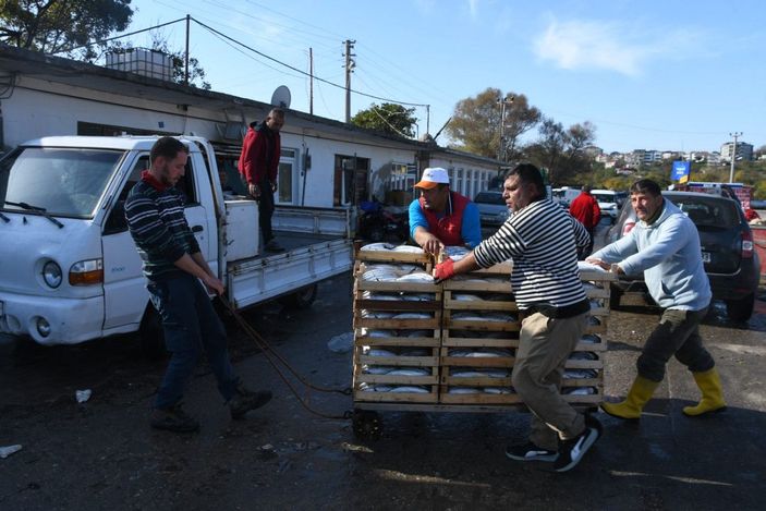 d Palamut bolluğu yaşanan Karadeniz'de balıkçıların 'mayın' endişesi -3