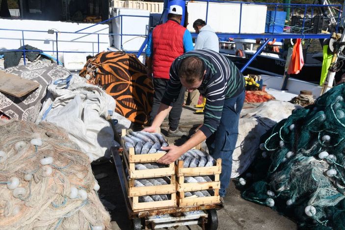 d Palamut bolluğu yaşanan Karadeniz'de balıkçıların 'mayın' endişesi -4