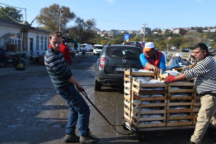 d Palamut bolluğu yaşanan Karadeniz'de balıkçıların 'mayın' endişesi -8