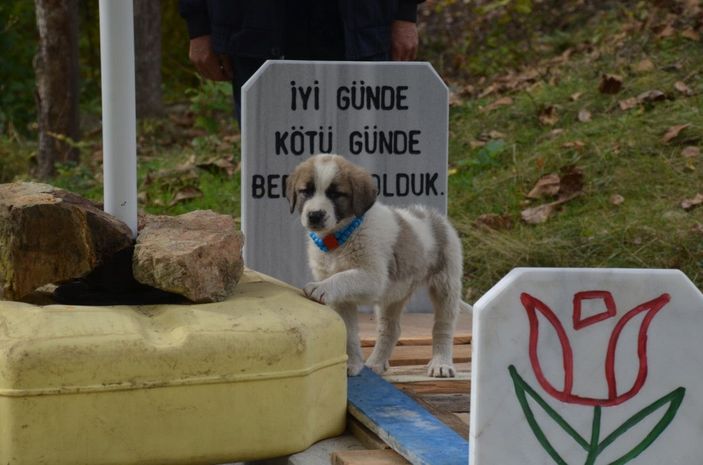 Çocuğu olmayan çift ölmeden önce kendi mezarlarını yaptırdı -4