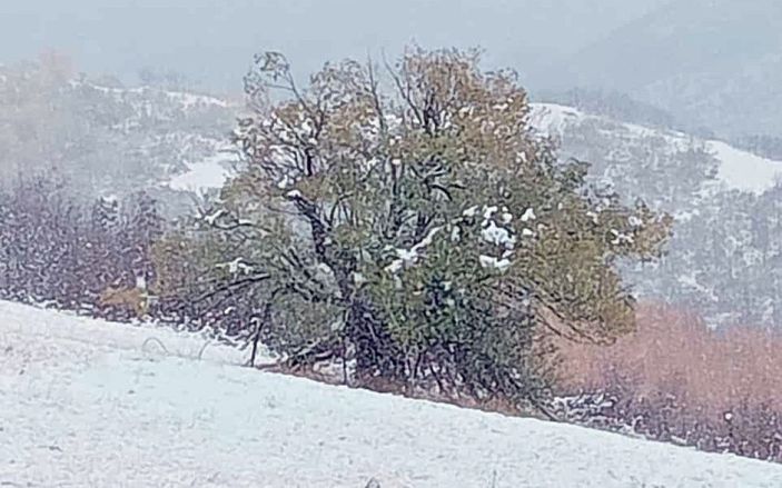 Tunceli’de kar; yüksek kesimlerde 10 santimetreye ulaştı -2