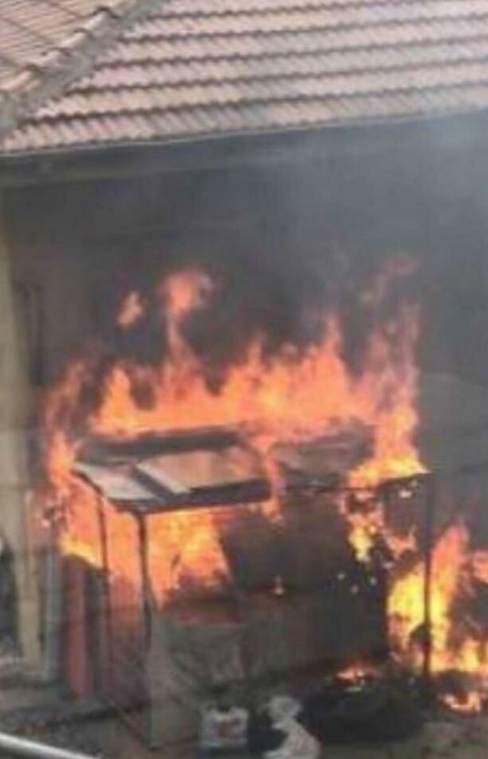 Pitbull cinayetine 6 yıla kadar hapis istemi -1