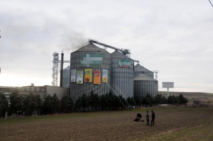 Edirne'de yağ fabrikasının silosunda yangın -7